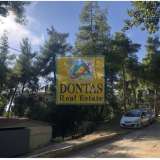  (For Sale) Land Plot || East Attica/Dionysos - 800 Sq.m, 400.000€ Dionysos 8162916 thumb1