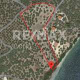  For Sale - (€ 0 / m2), Agricultural 9768 m2 Pelasgia 8162935 thumb1