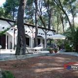  (For Sale) Residential Detached house || Chalkidiki/Kassandra - 120 Sq.m, 4 Bedrooms, 430.000€ Kassandra 3563175 thumb0