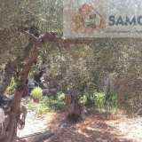   Samos 6963241 thumb8