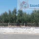   Samos 6963241 thumb0