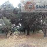   Samos 6963246 thumb10