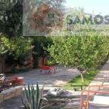   Samos 6963250 thumb9