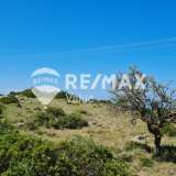  For Sale - (€ 0 / m2), Agricultural 2390 m2 Lefkada 7563685 thumb4