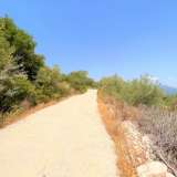  For Sale - (€ 0 / m2), Agricultural 8858 m2 Lefkada 7563899 thumb1