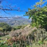  For Sale - (€ 0 / m2), Agricultural 4000 m2 Lefkada 7563903 thumb6
