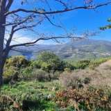  For Sale - (€ 0 / m2), Agricultural 4000 m2 Lefkada 7563903 thumb7