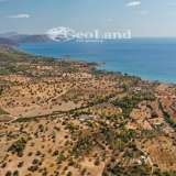  For Sale - (€ 0 / m2), Agricultural 4120 m2 Kranidi 8164125 thumb4