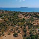  For Sale - (€ 0 / m2), Agricultural 5721 m2 Kranidi 8164139 thumb8