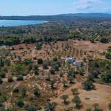  For Sale - (€ 0 / m2), Agricultural 5721 m2 Kranidi 8164139 thumb6