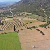  For Sale - (€ 0 / m2), Agricultural 7215 m2 Ermioni 8164181 thumb9