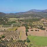 For Sale - (€ 0 / m2), Agricultural 7215 m2 Ermioni 8164181 thumb5