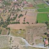  For Sale - (€ 0 / m2), Agricultural 7215 m2 Ermioni 8164181 thumb7