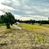  (For Sale) Land Agricultural Land  || Chalkidiki/Moudania - 4.850 Sq.m, 60.000€ Moudania 8164289 thumb6