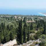  For Sale - (€ 0 / m2), Agricultural 6310 m2 Lefkada 7864050 thumb8