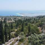  For Sale - (€ 0 / m2), Agricultural 6310 m2 Lefkada 7864050 thumb0