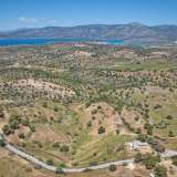  For Sale - (€ 0 / m2), Agricultural 45000 m2 Kranidi 8164052 thumb8