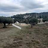  (For Sale) Land Plot || East Attica/Paiania - 1.780 Sq.m, 534.000€ Athens 7564066 thumb0