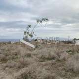  (For Sale) Land Plot || Cyclades/Santorini-Thira - 6.000 Sq.m, 1.000.000€ Santorini (Thira) 8164911 thumb1