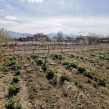   Pazardjik 6464937 thumb33