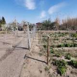   Pazardjik 6464937 thumb26