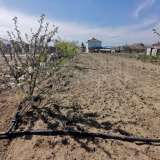   Pazardjik 6464937 thumb29