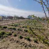   Pazardjik 6464937 thumb28