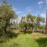  For Sale - (€ 0 / m2), Agricultural 2746 m2 Skiathos 8065166 thumb6