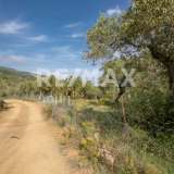  For Sale - (€ 0 / m2), Agricultural 2746 m2 Skiathos 8065166 thumb7