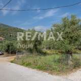  For Sale - (€ 0 / m2), Agricultural 2746 m2 Skiathos 8065166 thumb3