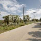  For Sale - (€ 0 / m2), Agricultural 2746 m2 Skiathos 8065166 thumb1