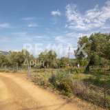  For Sale - (€ 0 / m2), Agricultural 2746 m2 Skiathos 8065166 thumb8