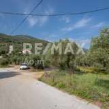  For Sale - (€ 0 / m2), Agricultural 2746 m2 Skiathos 8065166 thumb4