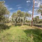  For Sale - (€ 0 / m2), Agricultural 2746 m2 Skiathos 8065166 thumb5