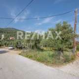  For Sale - (€ 0 / m2), Agricultural 2746 m2 Skiathos 8065166 thumb2