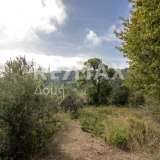  For Sale - (€ 0 / m2), Agricultural 3109 m2 Skiathos 8065168 thumb8