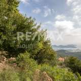  For Sale - (€ 0 / m2), Agricultural 3109 m2 Skiathos 8065168 thumb7