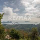  For Sale - (€ 0 / m2), Agricultural 3109 m2 Skiathos 8065168 thumb0