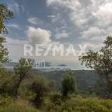  For Sale - (€ 0 / m2), Agricultural 3109 m2 Skiathos 8065168 thumb5