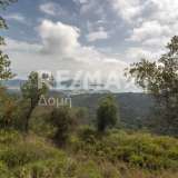  For Sale - (€ 0 / m2), Agricultural 3109 m2 Skiathos 8065168 thumb6