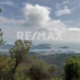  For Sale - (€ 0 / m2), Agricultural 3109 m2 Skiathos 8065168 thumb4