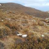  For Sale - (€ 0 / m2), Agricultural 7194 m2 Serifos 8065248 thumb1