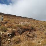  For Sale - (€ 0 / m2), Agricultural 7194 m2 Serifos 8065248 thumb2