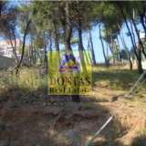  (For Sale) Land Plot || East Attica/Dionysos - 815 Sq.m, 195.000€ Dionysos 7765553 thumb4