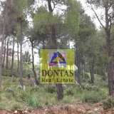  (For Sale) Land Plot || East Attica/Dionysos - 815 Sq.m, 195.000€ Dionysos 7765553 thumb1