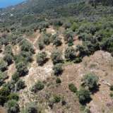  For Sale - (€ 0 / m2), Agricultural 8100 m2 Lefkada 8165598 thumb2