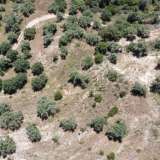  For Sale - (€ 0 / m2), Agricultural 8100 m2 Lefkada 8165598 thumb1