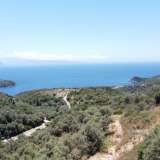  For Sale - (€ 0 / m2), Agricultural 8100 m2 Lefkada 8165598 thumb0