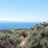  For Sale - (€ 0 / m2), Agricultural 8100 m2 Lefkada 8165598 thumb7