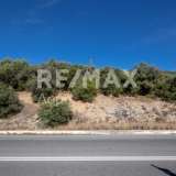  For Sale - (€ 0 / m2), Agricultural 7570 m2 Aisonia 6165609 thumb4